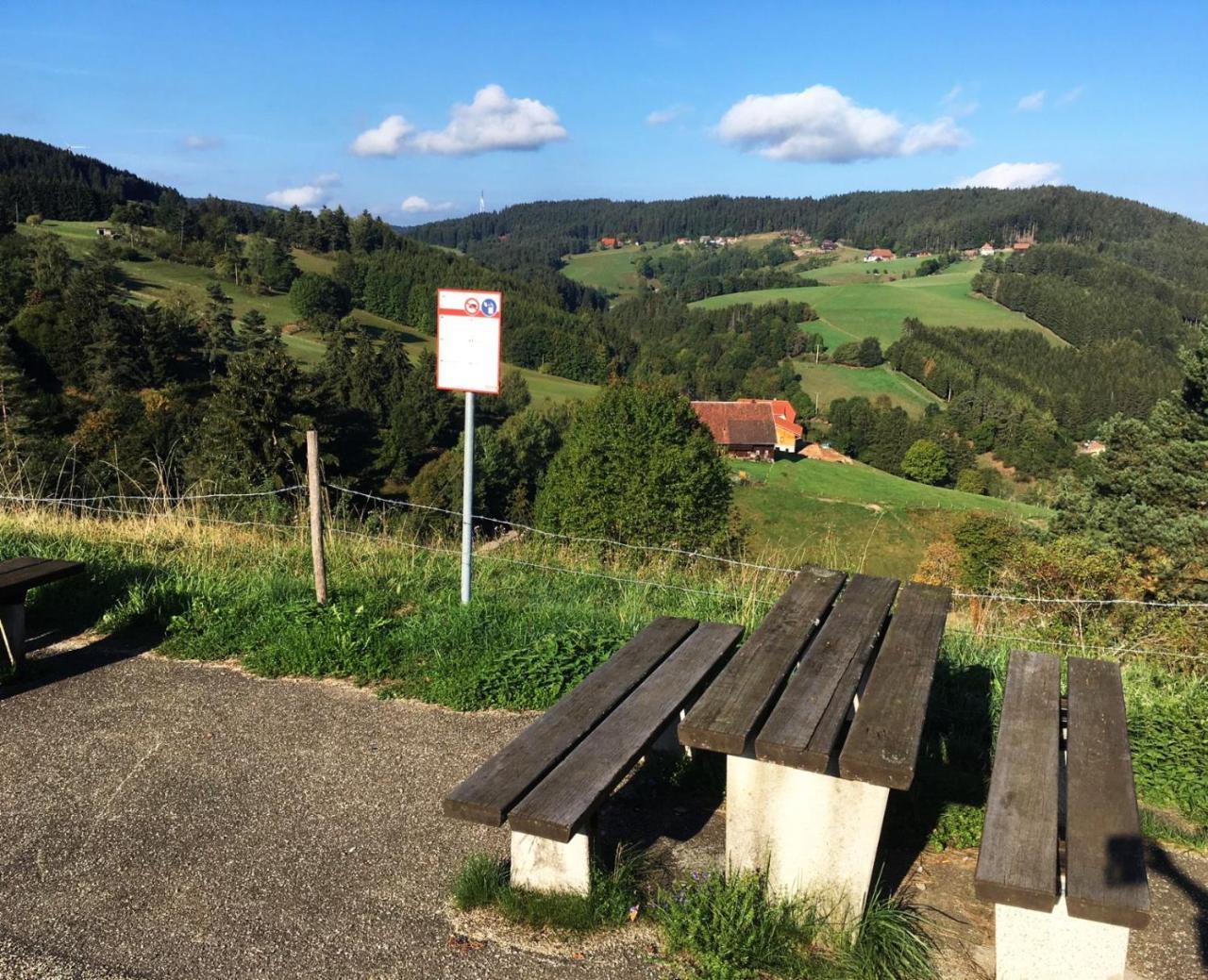 Schwarzwaldgasthaus Linde Schramberg Exteriör bild